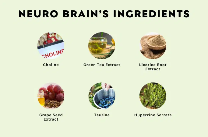 neuro-brain-ingredients